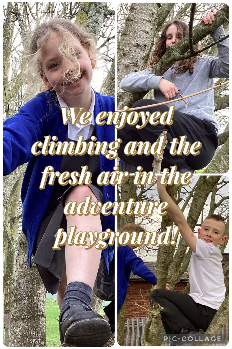 Lache Primary School tweet media