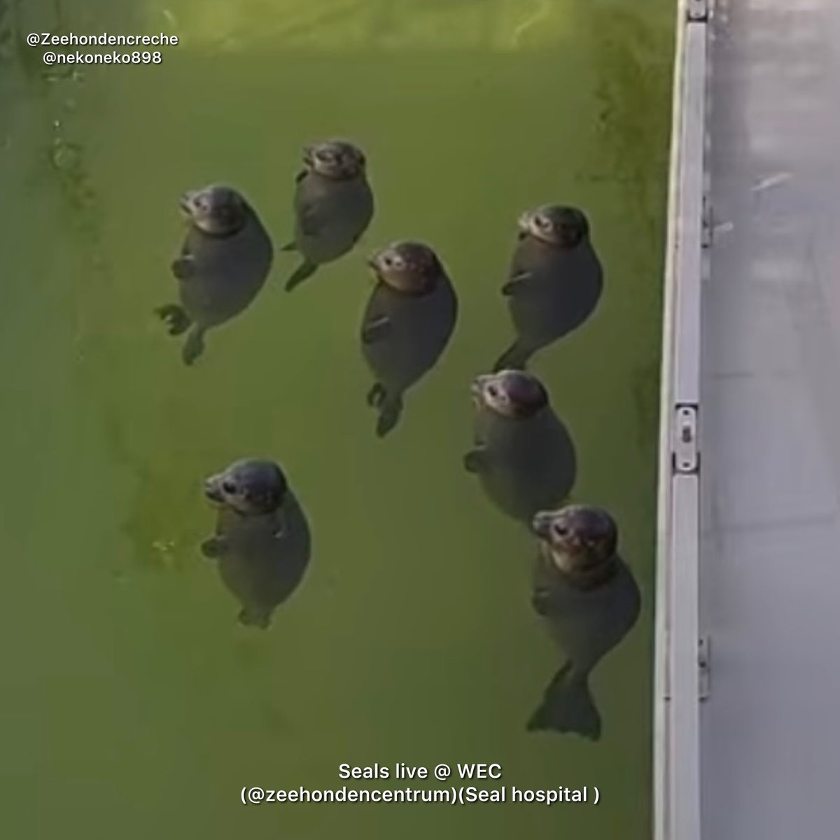 キキキ (@Kikiki3k) / Posts / X