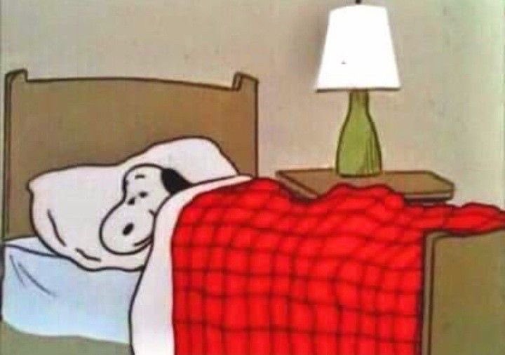 snoopyfever_'s tweet photo. my plans for weekend https://t.co/6iLDkEqE7s