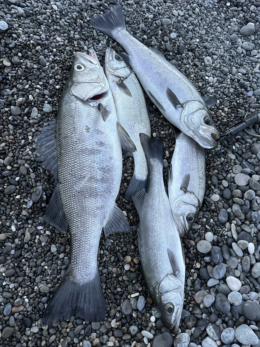 不破　大智 tweet media