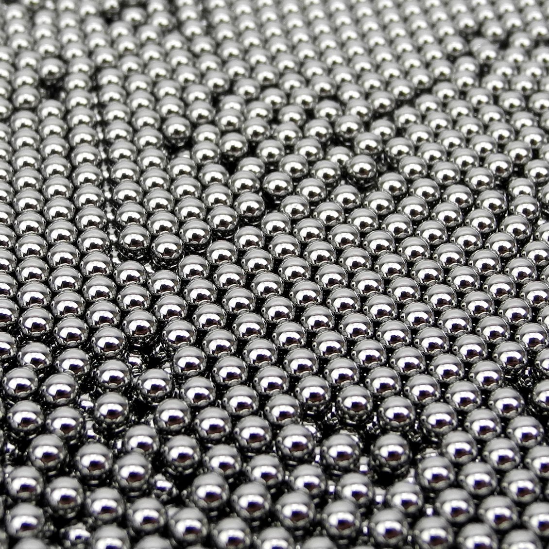 Invulnerable Fly tweet media