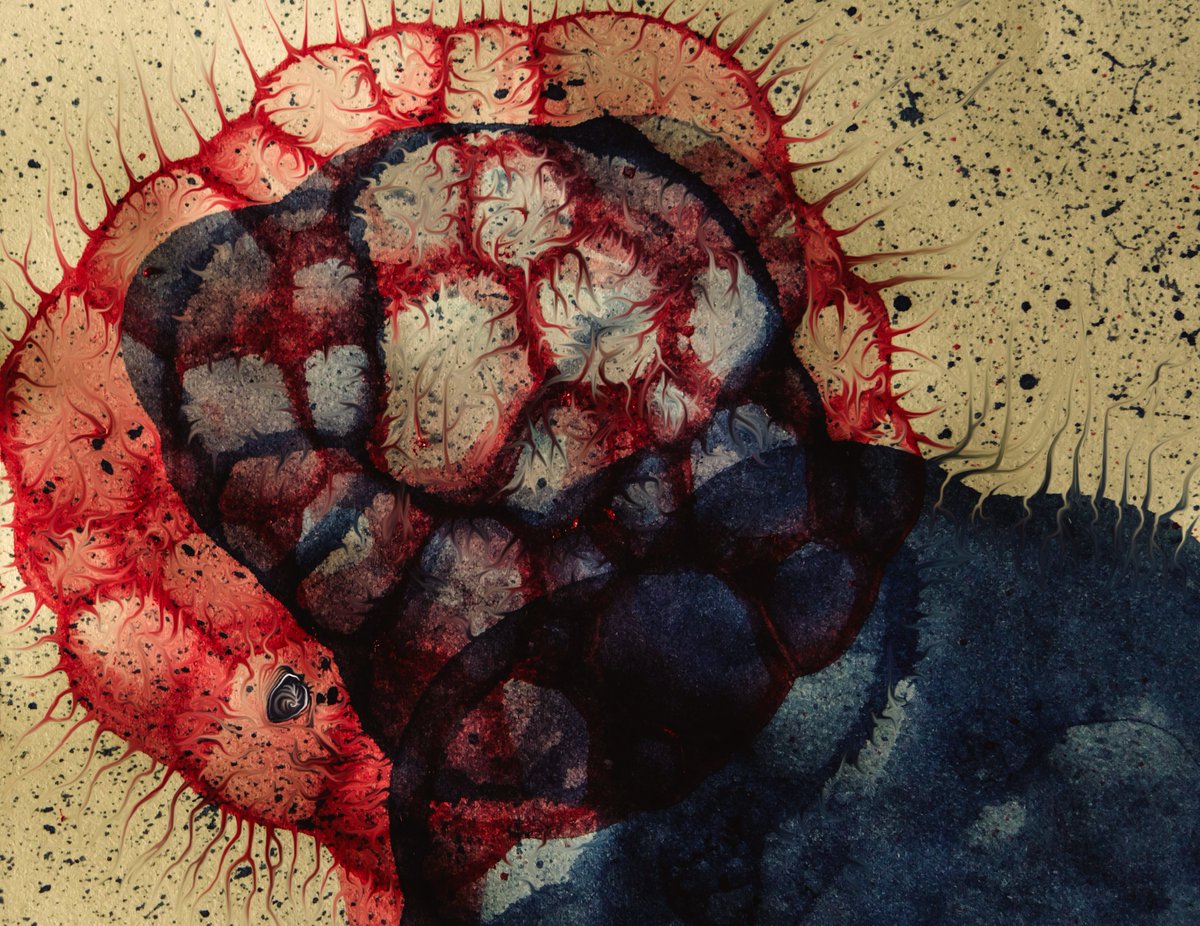 Grebo Gray tweet media