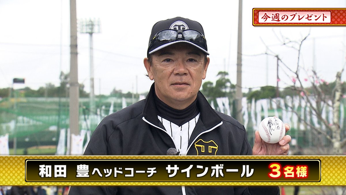 阪神戦完全中継⚾サンテレビボックス席＆熱血！タイガース党🐯【公式】 tweet media