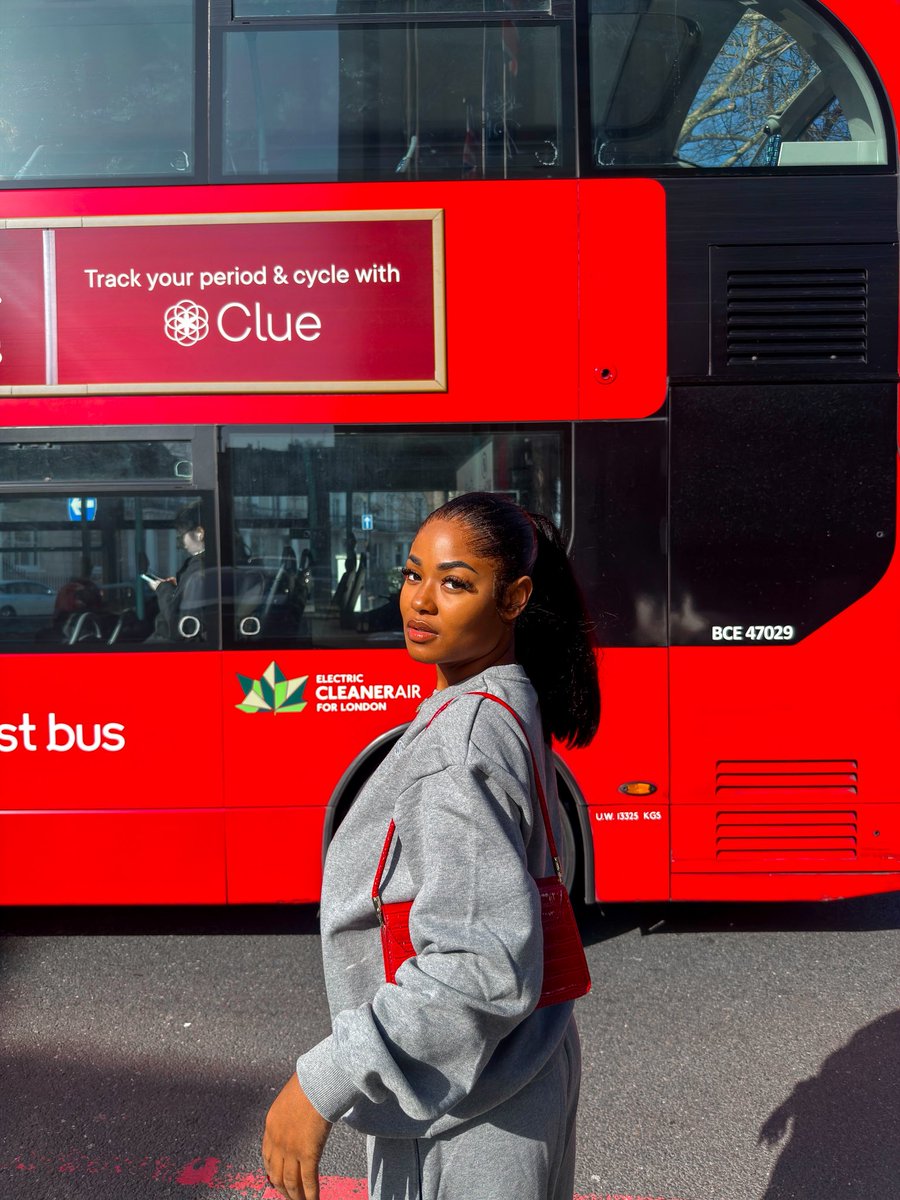 The Flag                          The Face