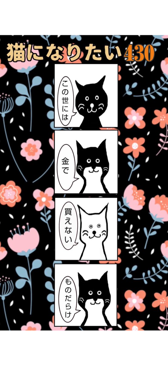 猫になりたい430