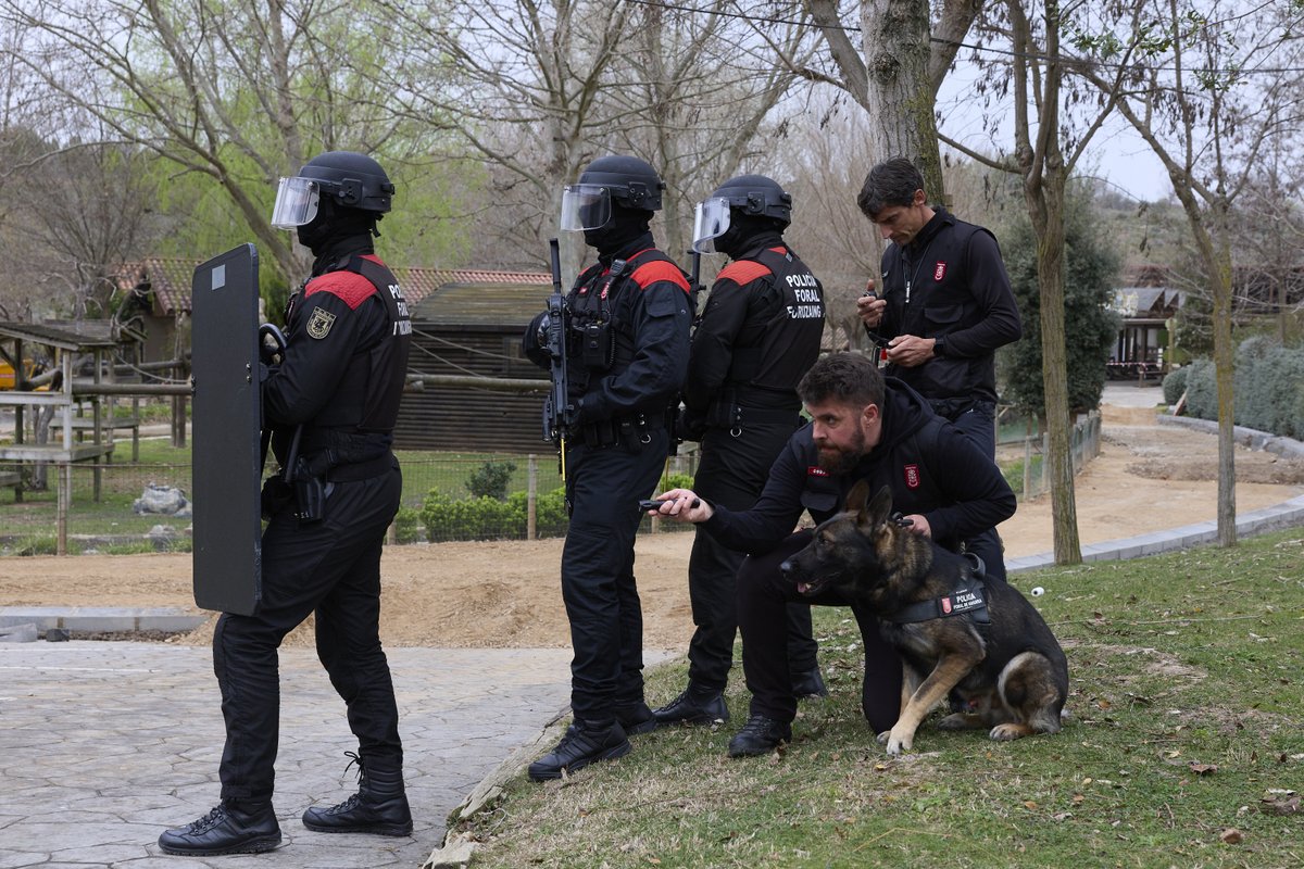 Sendaviva tweet media