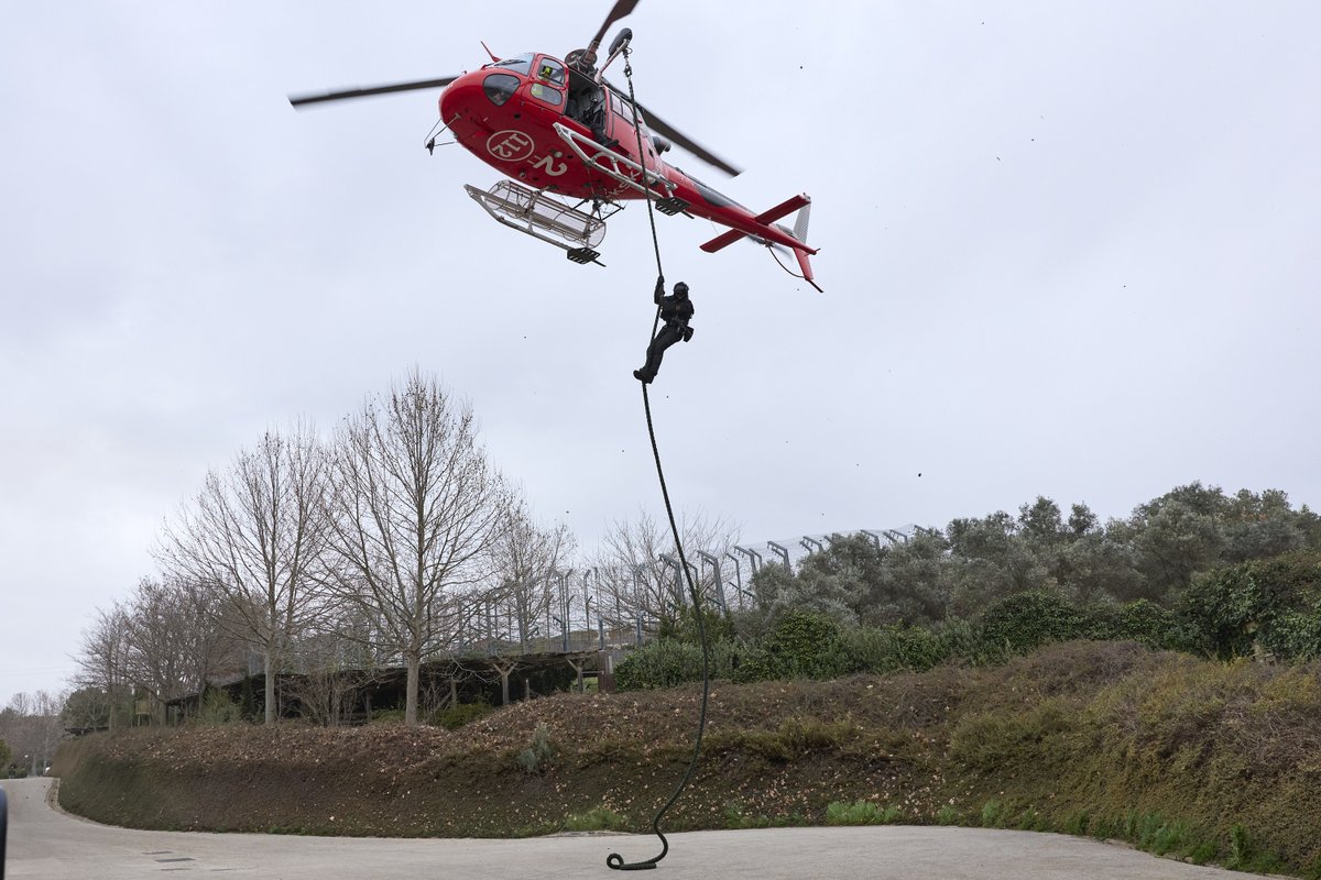 Sendaviva tweet media