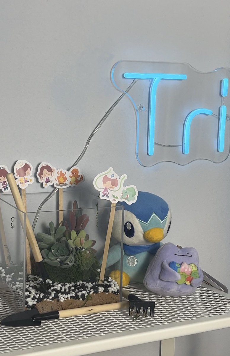 Tripolarrr tweet media