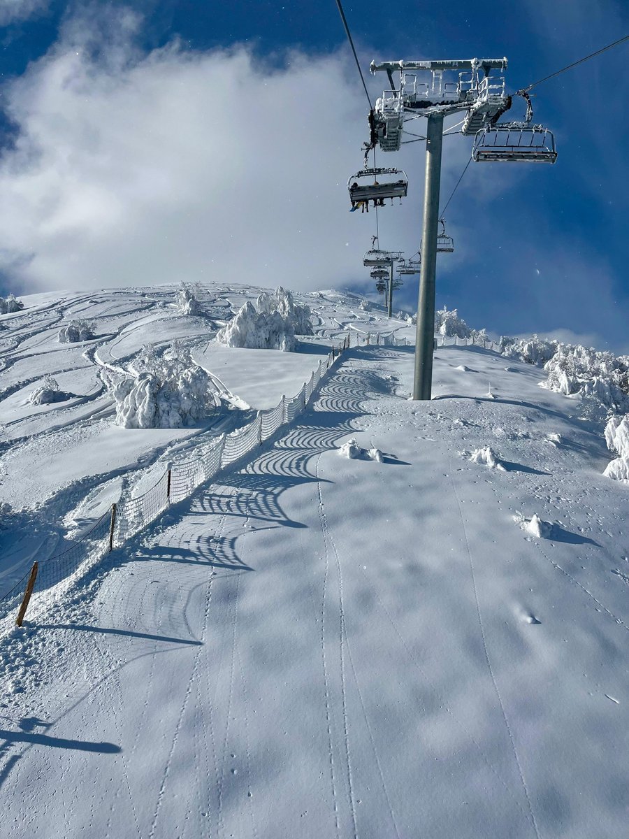 ❄Altiservice ⛷🏂 tweet media