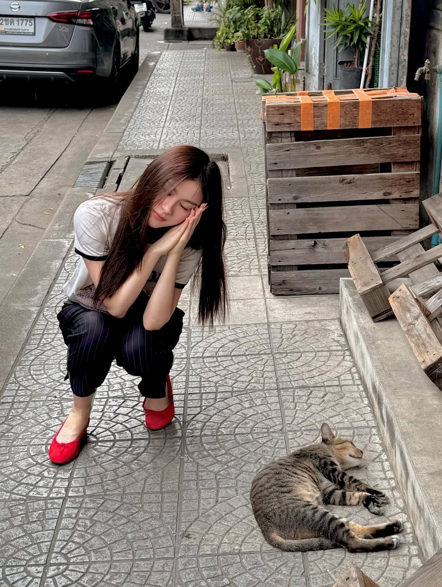 The cutest 🤍🤏🏻

#primiily <a href="/primiily1_/">primiily</a>