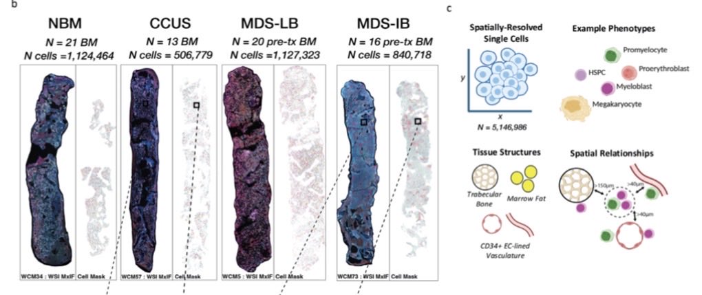Sanjay Patel, MD tweet media