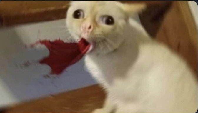 Anime characters when they get punched in the stomach