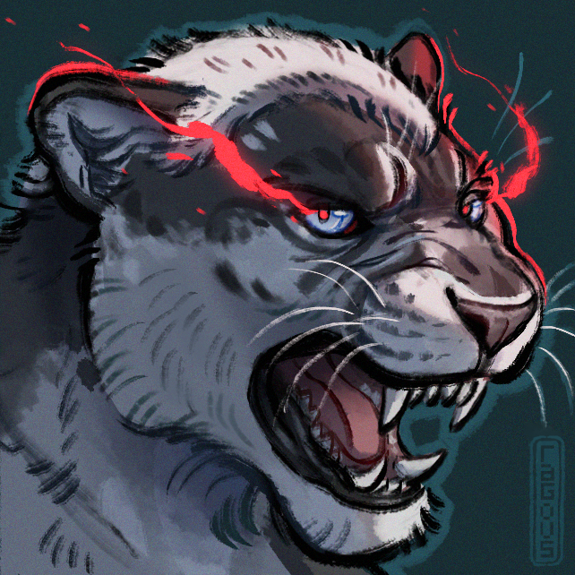 🔸ragous🔸 tweet media