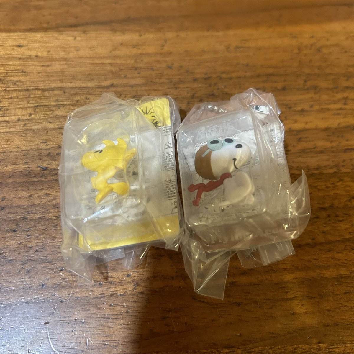 【ちょこ】 tweet media