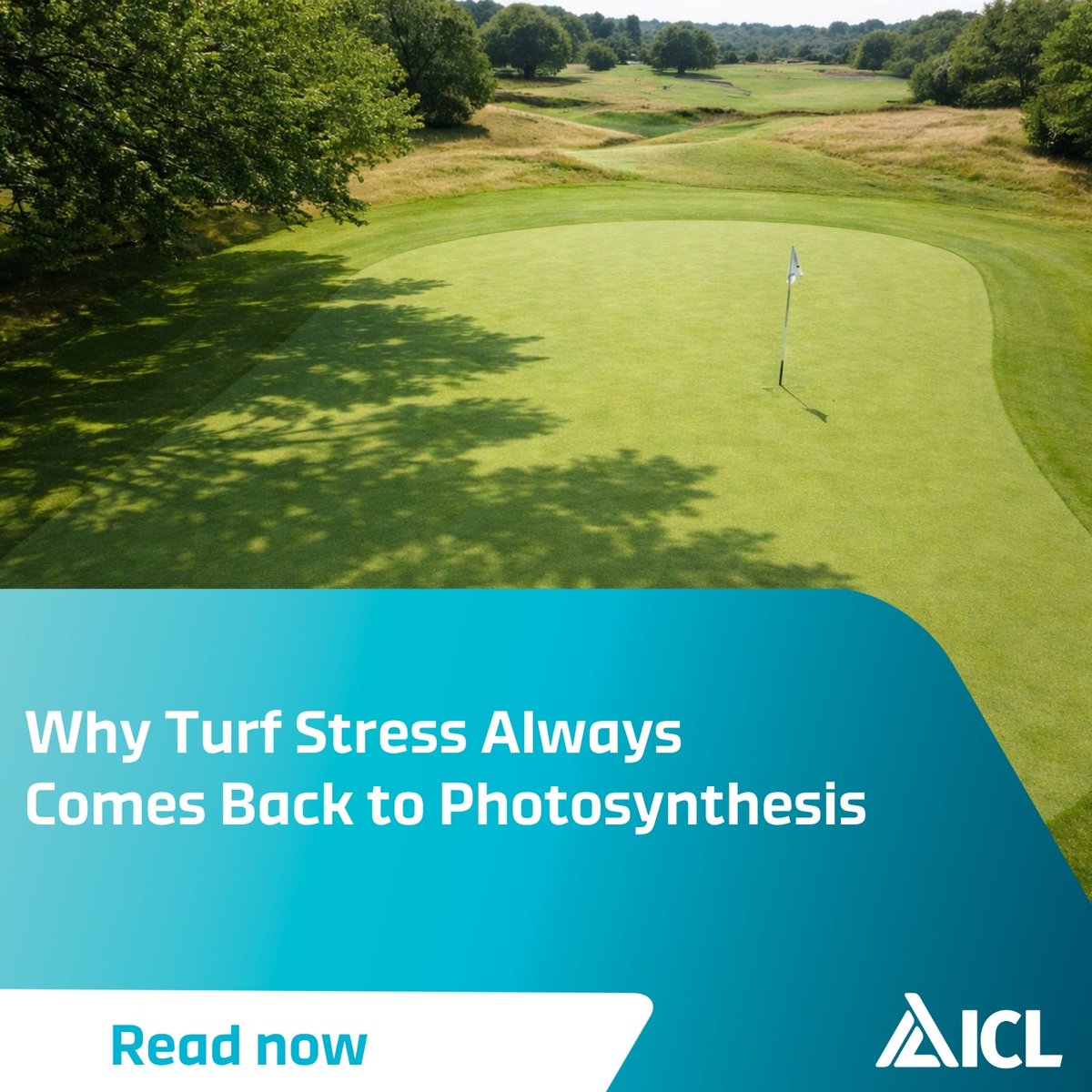 ICL Growing Solutions - Turf & Landscape 🇬🇧🇮🇪 tweet media