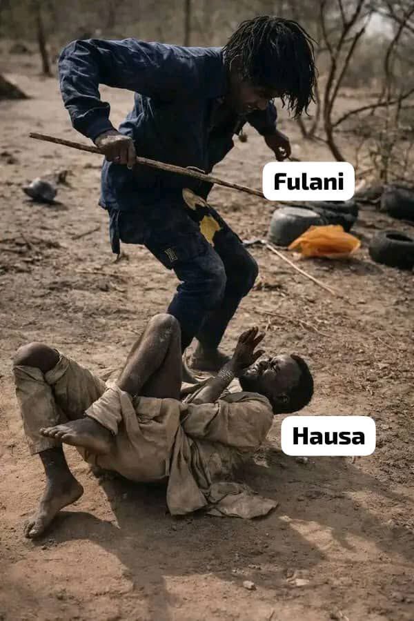 osimeh favorite tweet media