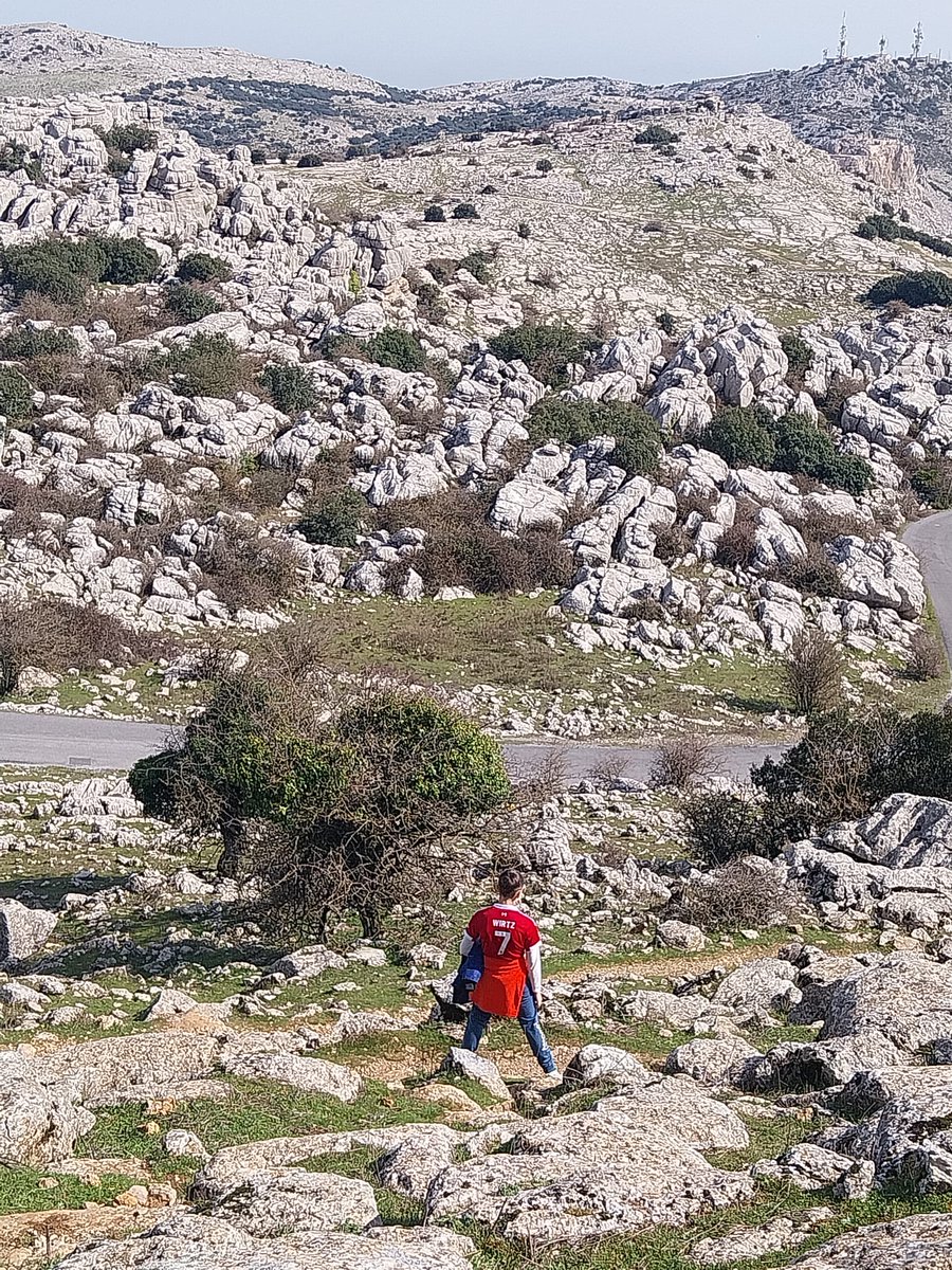 Curriqui tweet media