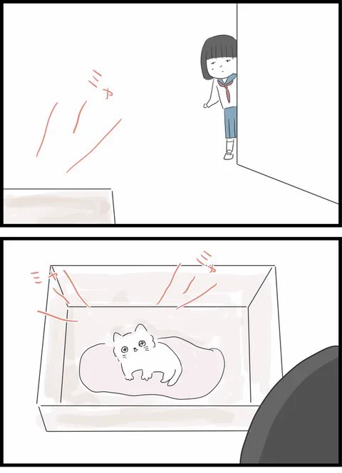 中学にあがってもいじめられて居場所がなくなった…
そんな時ねこちゃんを拾って… 