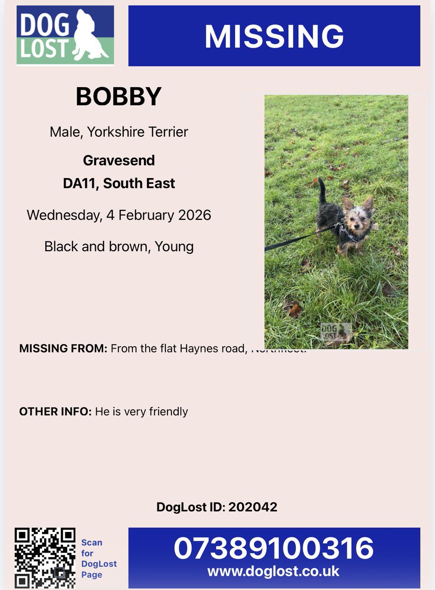<a href="/chilternbear11/">ChilternBear</a> Bobby is still missing “Someone took my dog from my garden, he’s a little boy, yorkshire terrier, very friendly ”
Haynes Road, #Northfleet #Gravesend, #Kent #DA11 
4.02.26 

Updates: doglost.co.uk/dog/202042

#LostDog #stolen #MakeChipsCount #PetTheftReform #TheftByFinding