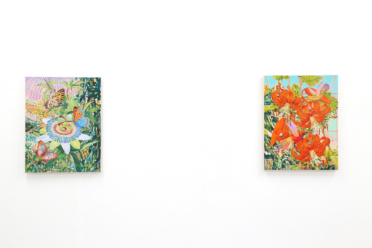 GALLERY MoMo tweet media