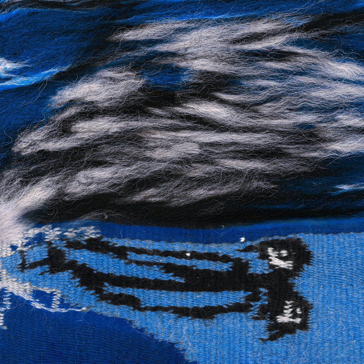 La Wave 🌊 tweet media