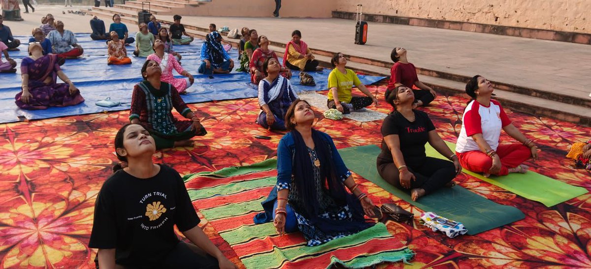 Collector Boudh tweet media