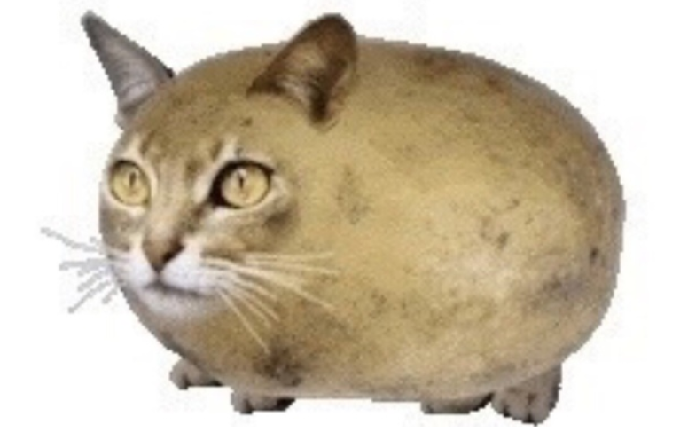 wait until you see $chilipizdrik lore..