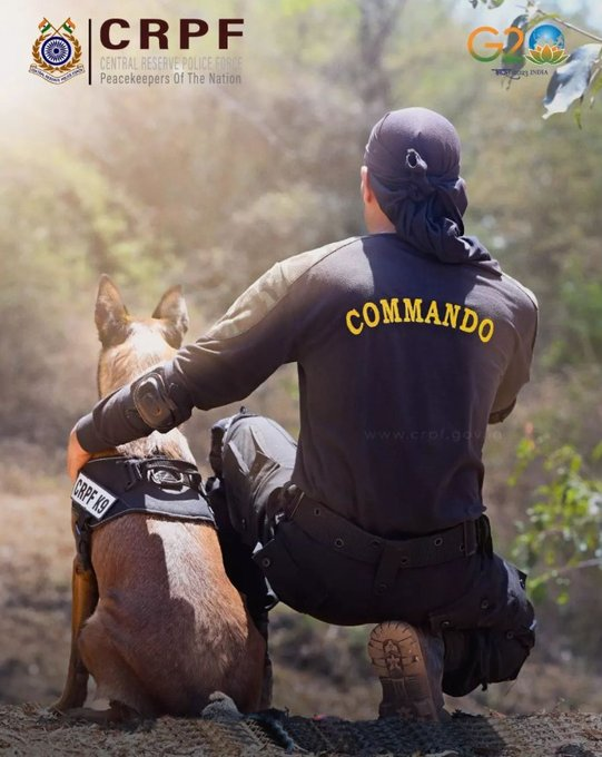 Amvita542233's tweet image. Love blooms where fear once lived — thanks to the courage of CRPF.
#CompromisedModi
mission c1000
#PMisCompromised 
Salman Khan
#Nitish_Kumar