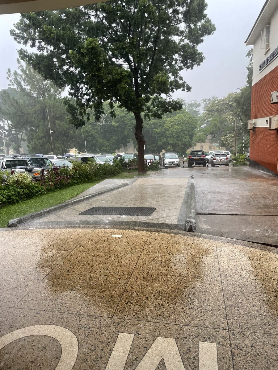 Isabelle. tweet media