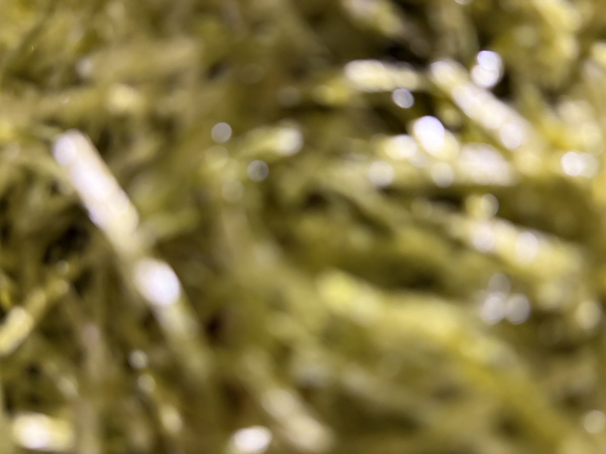 おかゆ tweet media