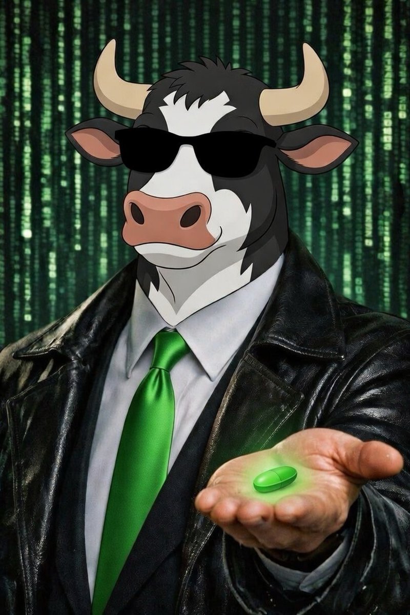 BCH BULL tweet media