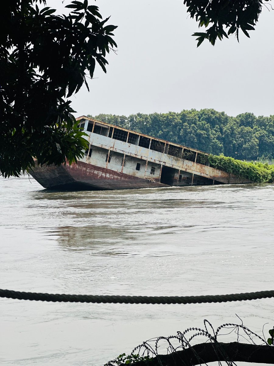 Joseph Africano Bartel tweet media