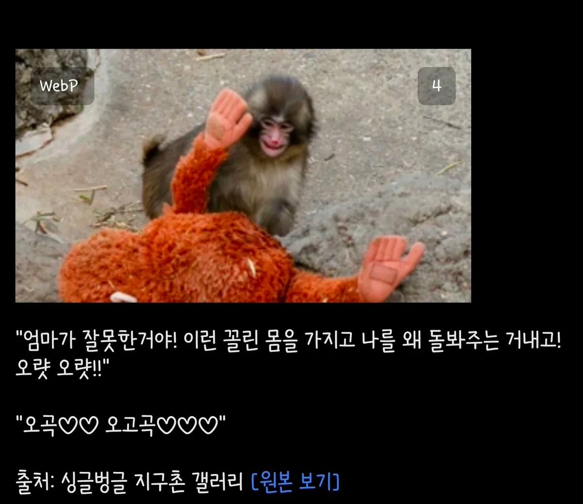 가능충 tweet media