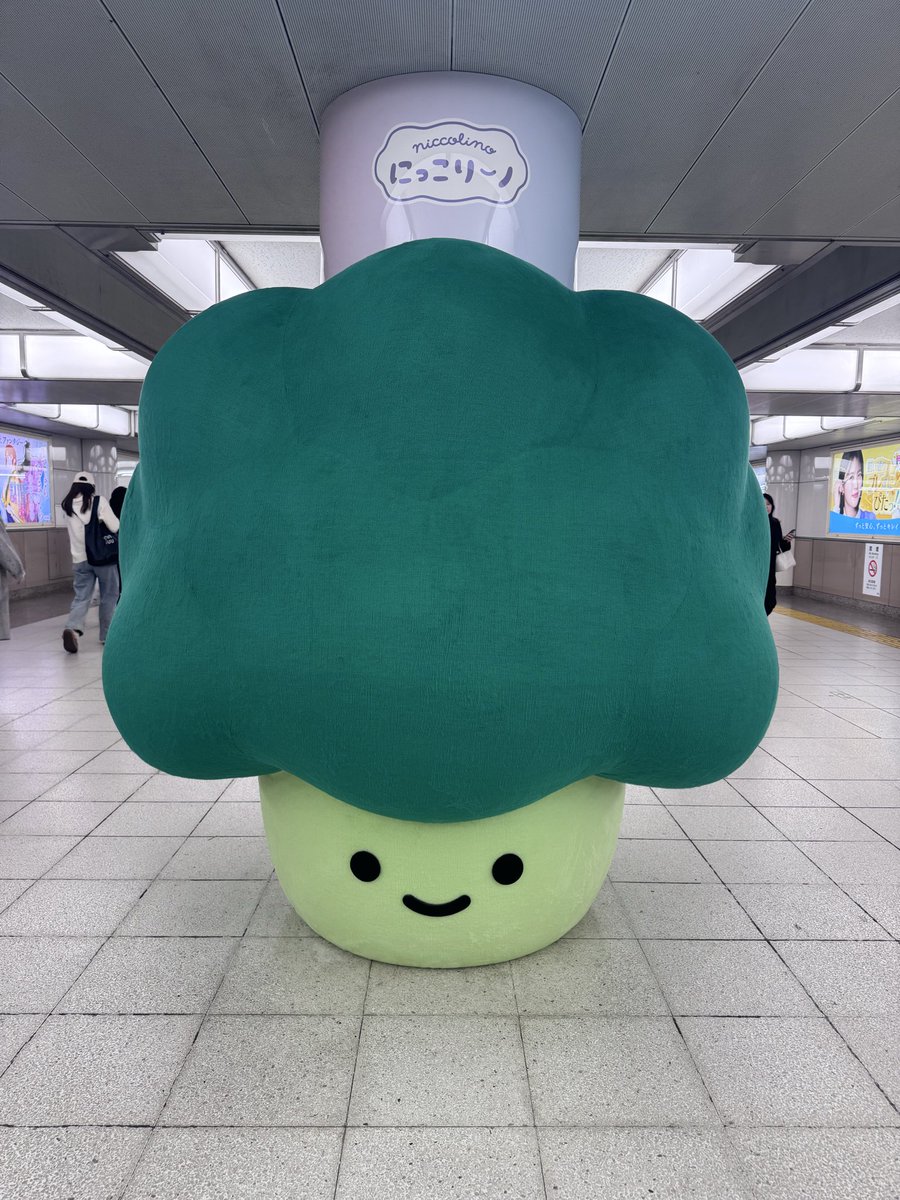 mmooo_ko's tweet photo. ラウのブロッコリーにしか
見えないんだけど🥦🥦
こっちの方がちょっと可愛い

#にっこりーノ https://t.co/tM8Qflxymc