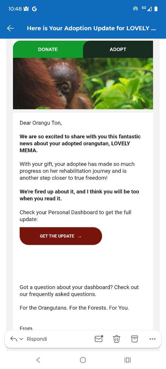 OTON (backup) tweet media