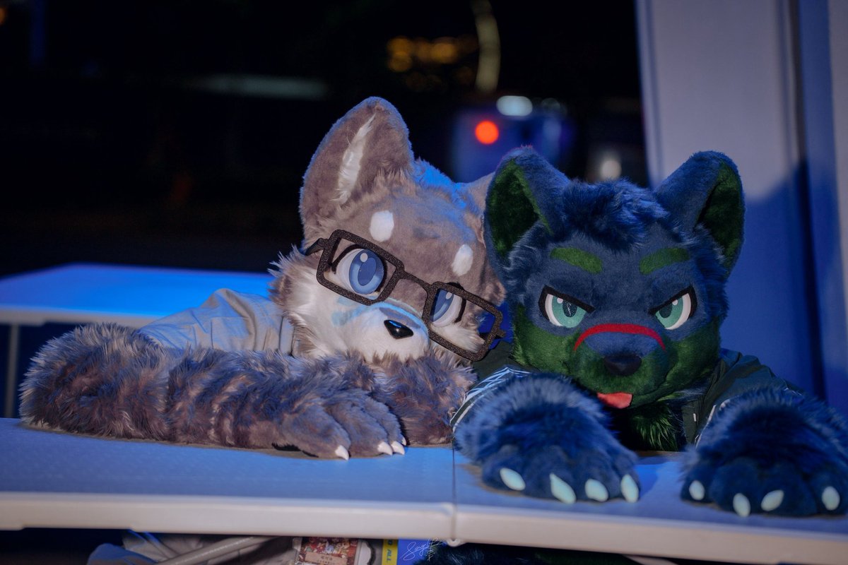 塔可洛/タコロ🐶 ➡️ UTFG2026 tweet media