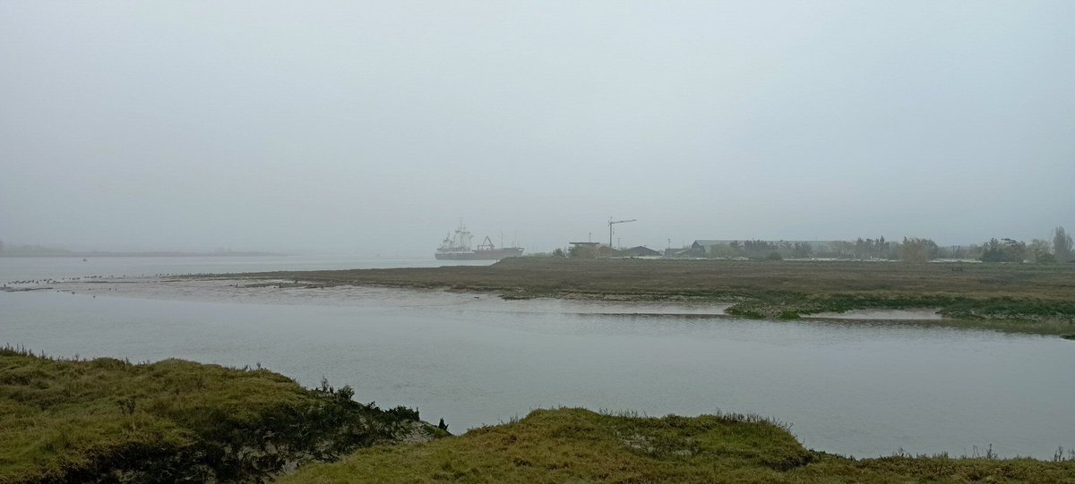 Neil Pellinacci tweet media