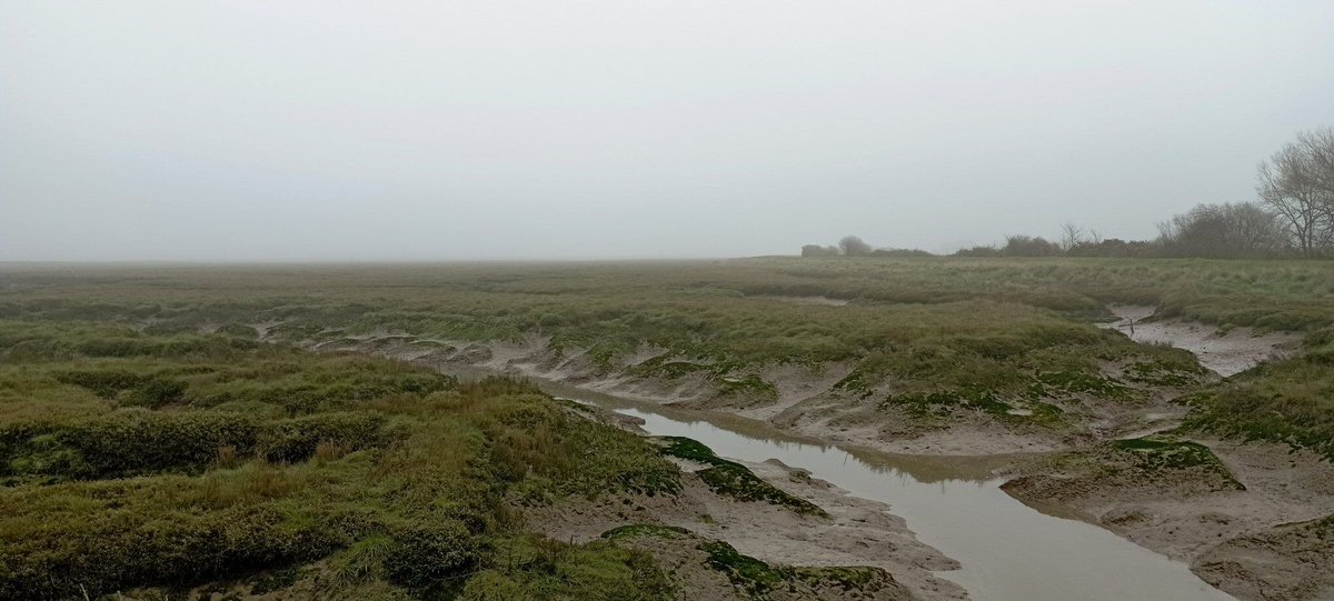 Neil Pellinacci tweet media