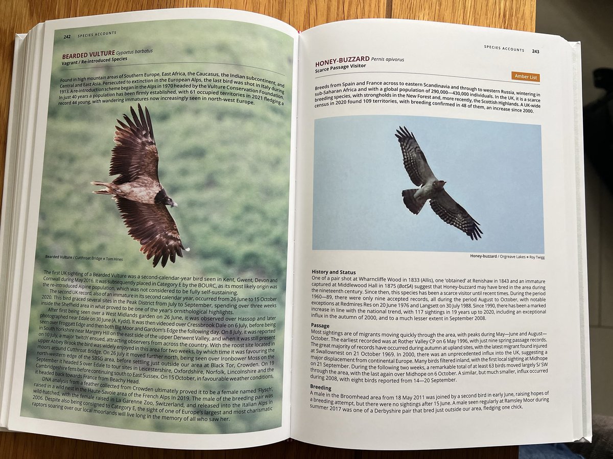 Dan Martin tweet media