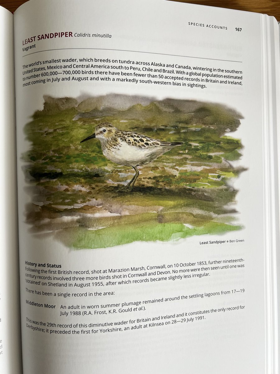 Dan Martin tweet media