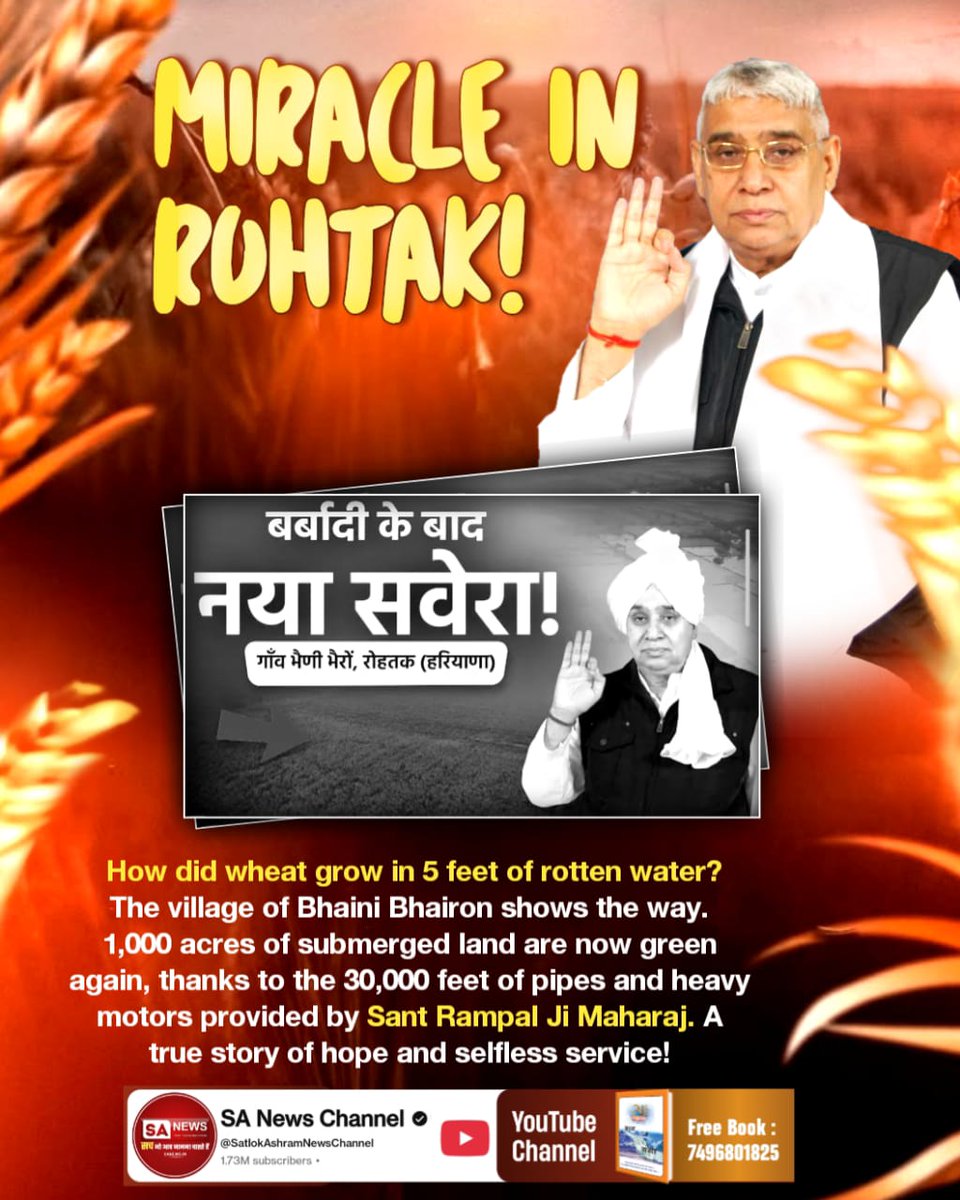#किसान_मसीहा_संतरामपालजी
Where 500 acres had remained like a ‘sea’ for 10 years, today wheat worth ₹2.5 crore is flourishing due to the 10,000-foot pipeline and powerful motors arranged by Sant Rampal Ji Maharaj. This was not just relief, but a new life .