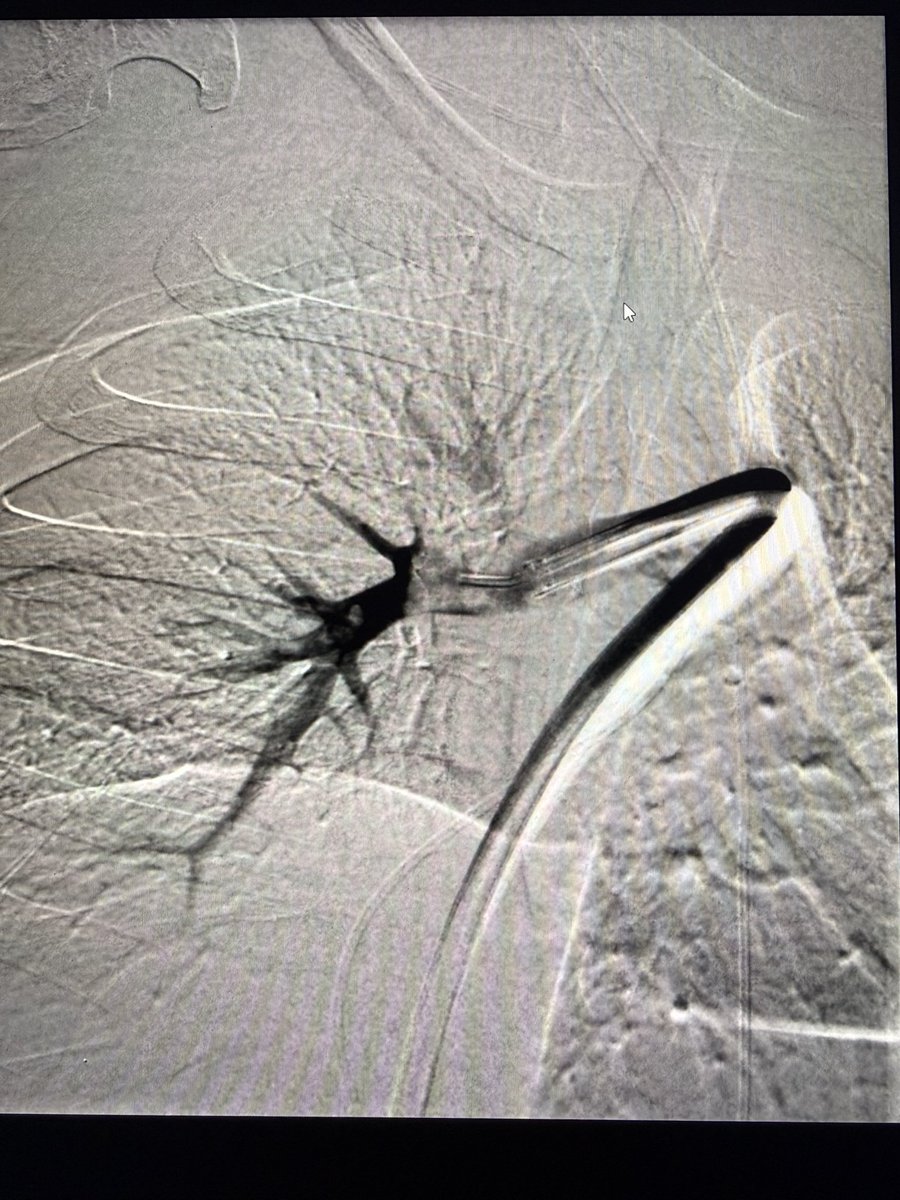 Harris Chengazi tweet media