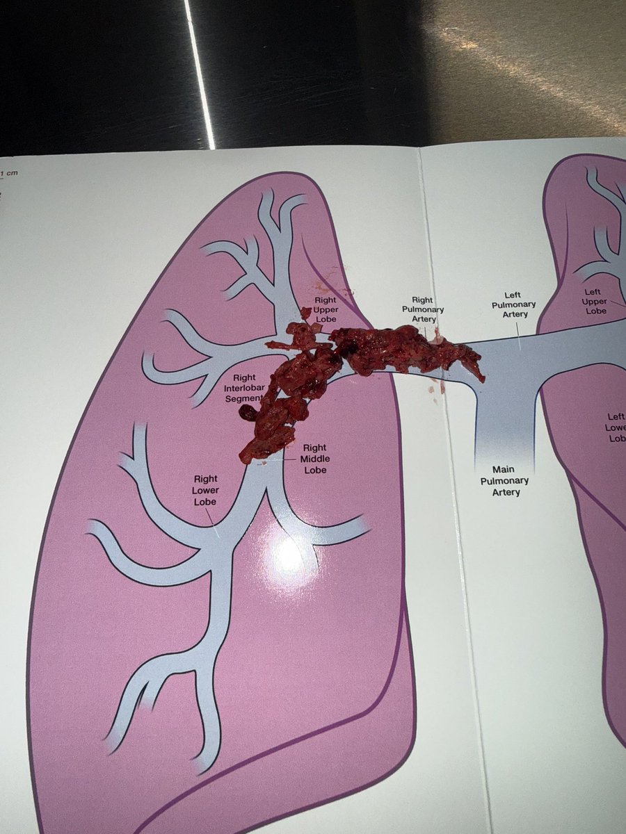 Harris Chengazi tweet media