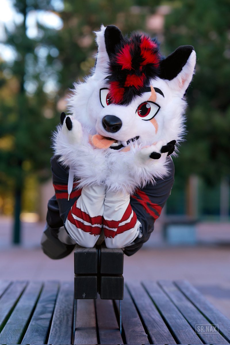 Denyern 狼 🐺 🔜 Ibercon tweet media