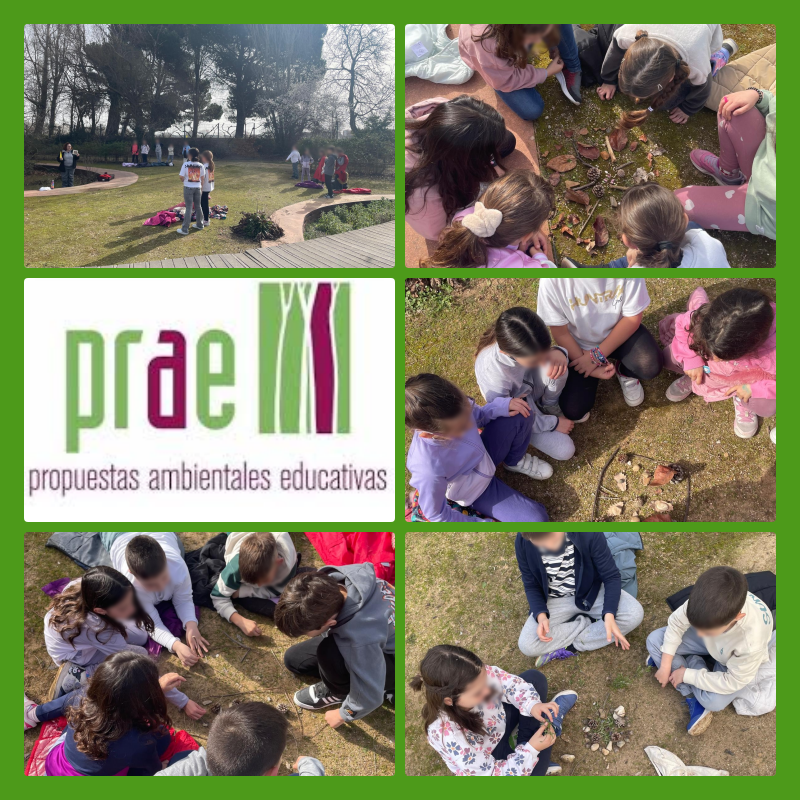 ColeNSVillar's tweet photo. El alumnado de 3ºEP visita #PRAE (Propuestas ambientales educativas)💚
Porque la #EducaciónAmbiental es importante!
#CanalEcoVillar #SelloAmbientalCyL #CentroEducativoSostenible #SelloAmbientalJCyL https://t.co/tfF4QaLkLs
