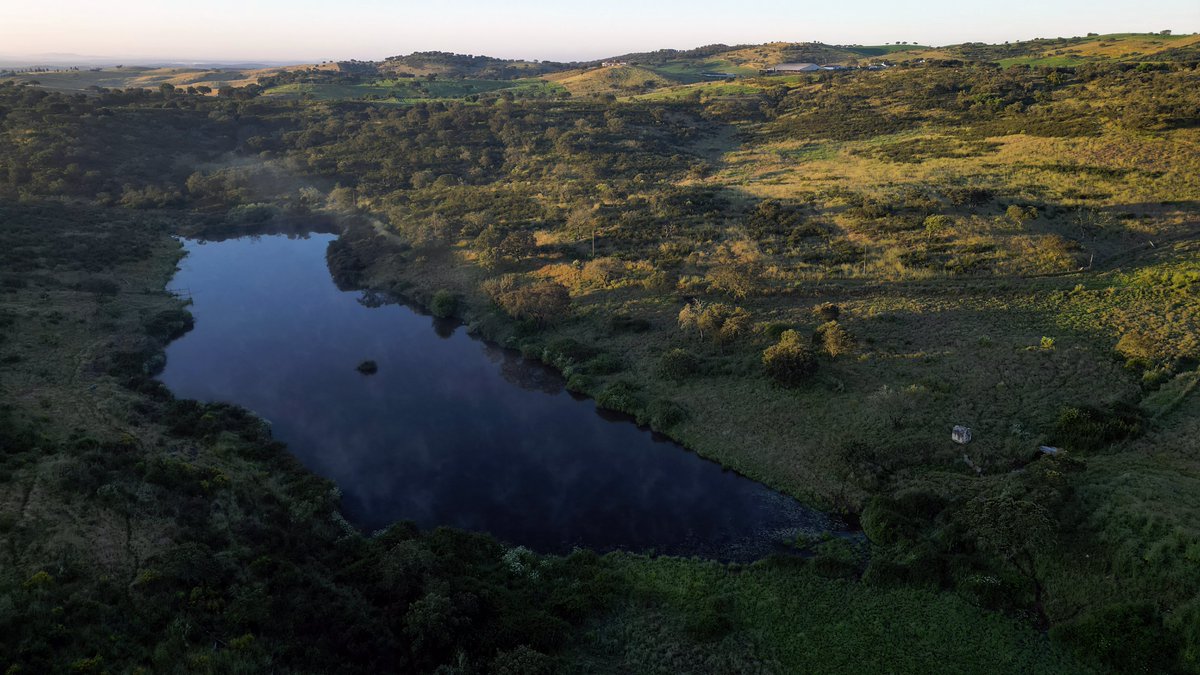 🐘 Sanctuaire pour éléphants, PANGEA
🏡 Un havre de paix pour éléphants sauvés de l’industrie du divertissement

Nous vous en avions déjà parlé : ce sanctuaire est situé au sud du Portugal, et est unique en Europe. Co-financé par la Fondation Brigitte Bardot, il sera prêt à