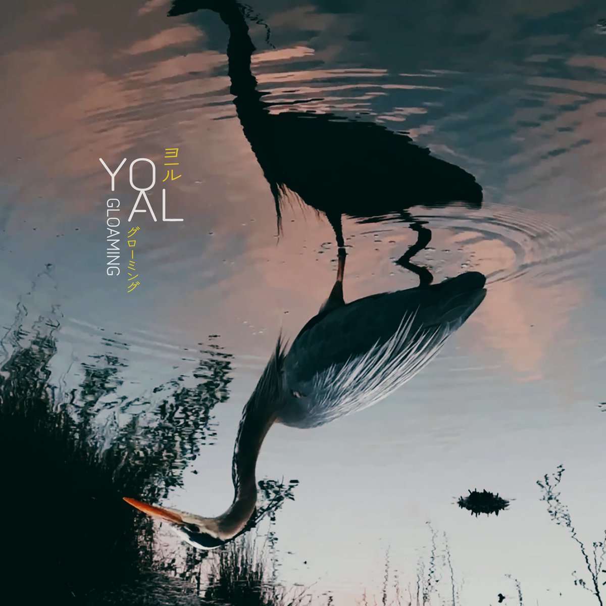 satomimagae tweet media