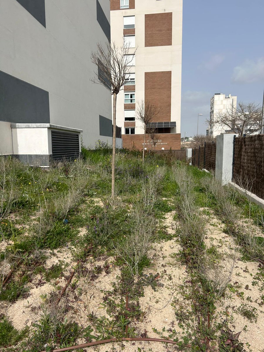 VecinosPlanVive's tweet photo. La urbanización sigue abandonada y hace unos días tuvimos el placer de recibir a una patrulla de #Avalon? Muchos paseos, pero los vecinos seguimos sin respuestas. La pregunta es bastante clara y sencilla ¿en qué se gastan nuestro dinero? @ComunidadMadrid https://t.co/t2LN0RhsnU