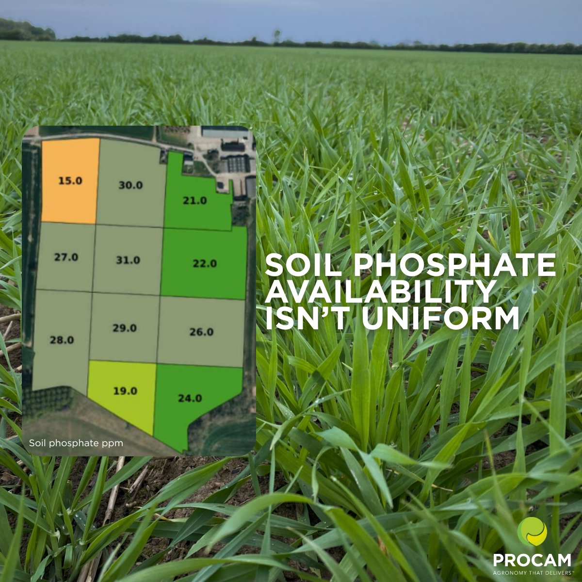 ProCam UK tweet media