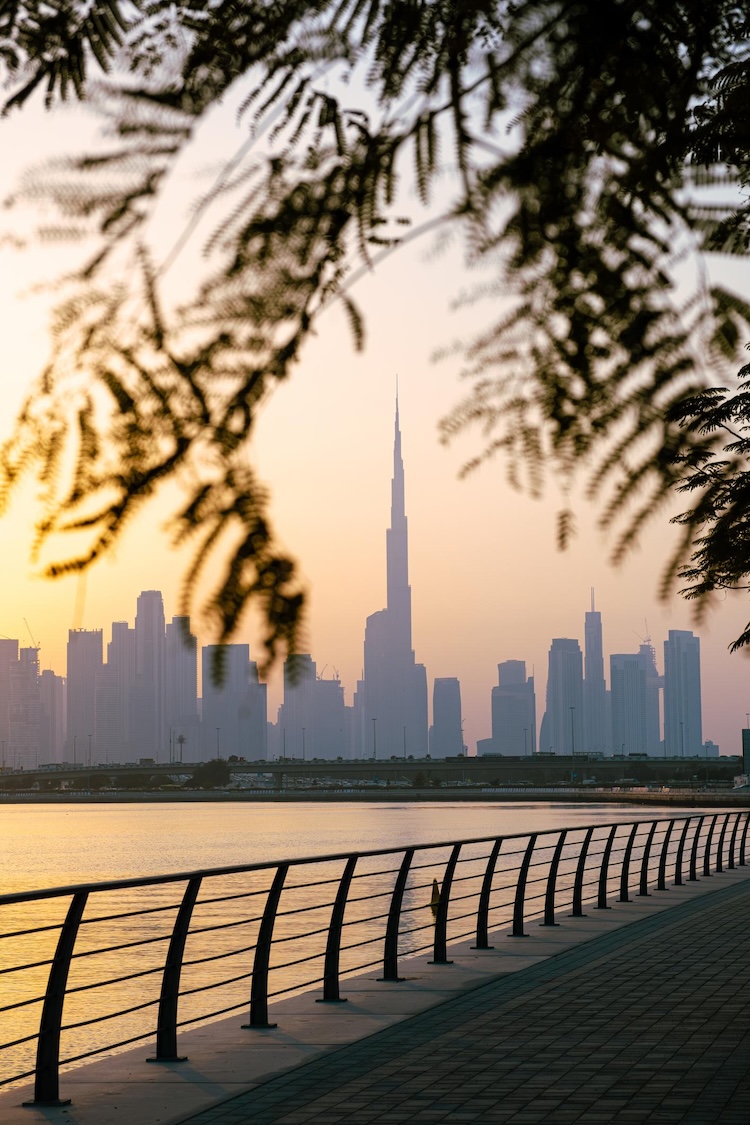 LPJ Dubaï tweet media